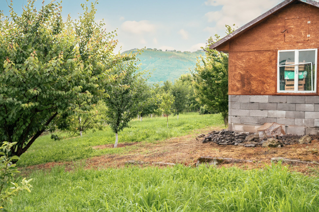 Visează, construiește, culege: Livada Paradisului – De Vânzare