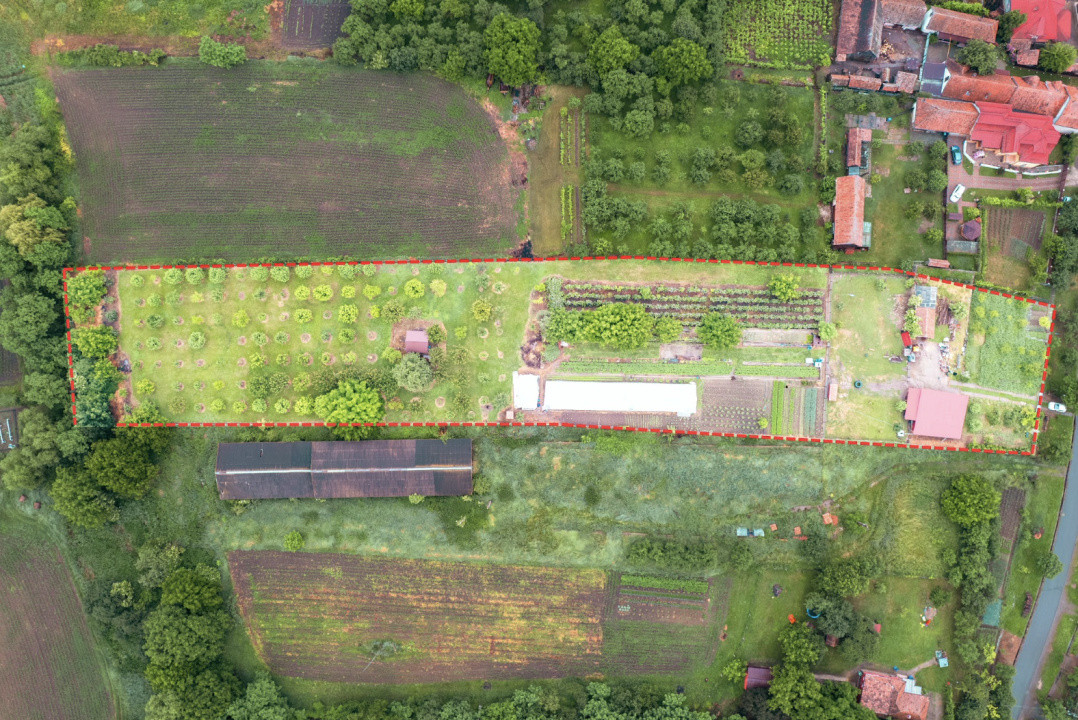 Visează, construiește, culege: Livada Paradisului – De Vânzare