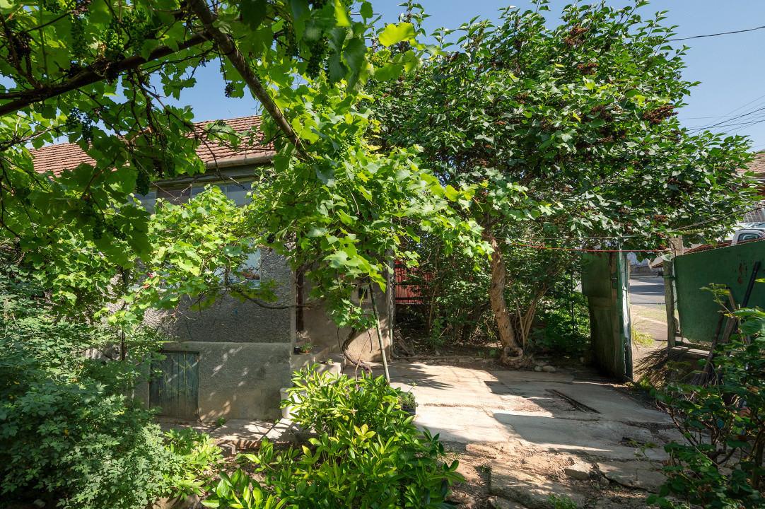 Teren intravilan pentru construire casă individuală sau duplex