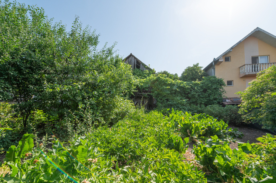 Teren intravilan pentru construire casă individuală sau duplex