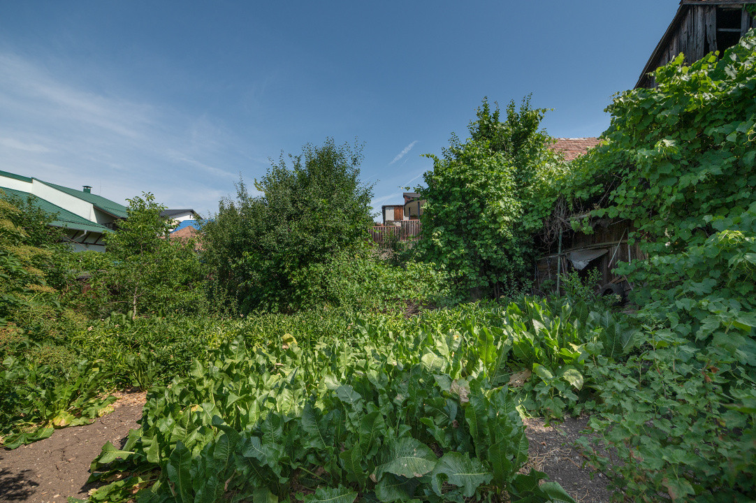 Teren intravilan pentru construire casă individuală sau duplex